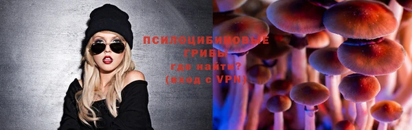 ECSTASY Алексин