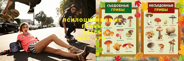 ECSTASY Алексин