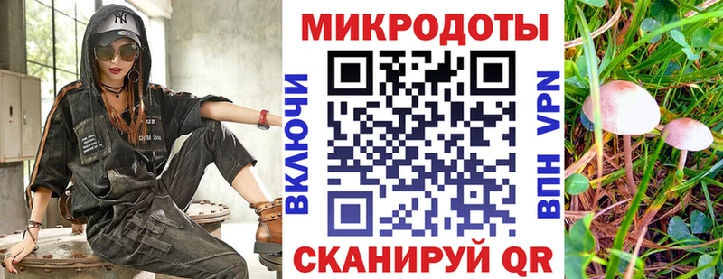 где продают наркотики  Чадан  Галлюциногенные грибы мицелий 